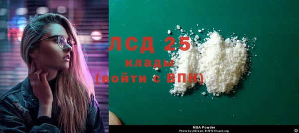 сатива Алзамай